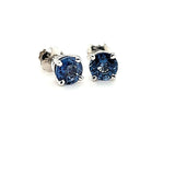 Exquisite Ceylon Sapphire Studs in 14K Gold at an Exceptional Price - Peters Vaults