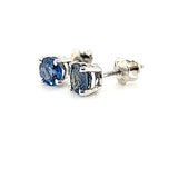 Exquisite Ceylon Sapphire Studs in 14K Gold at an Exceptional Price - Peters Vaults