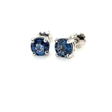 Exquisite Ceylon Sapphire Studs in 14K Gold at an Exceptional Price