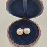 Shimmering Freshwater Pearl Stud Earrings in 14K White Gold | Peter's Vault