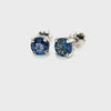 Exquisite Ceylon Sapphire Studs in 14K Gold at an Exceptional Price - Peters Vaults
